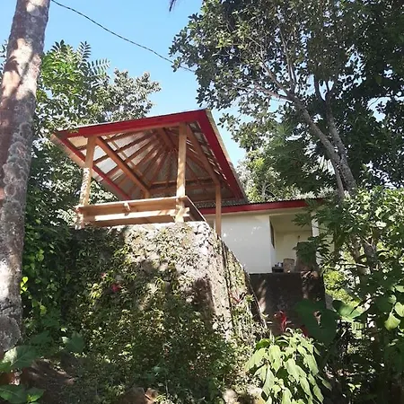 Mona'S Tiny Djungle House Villa